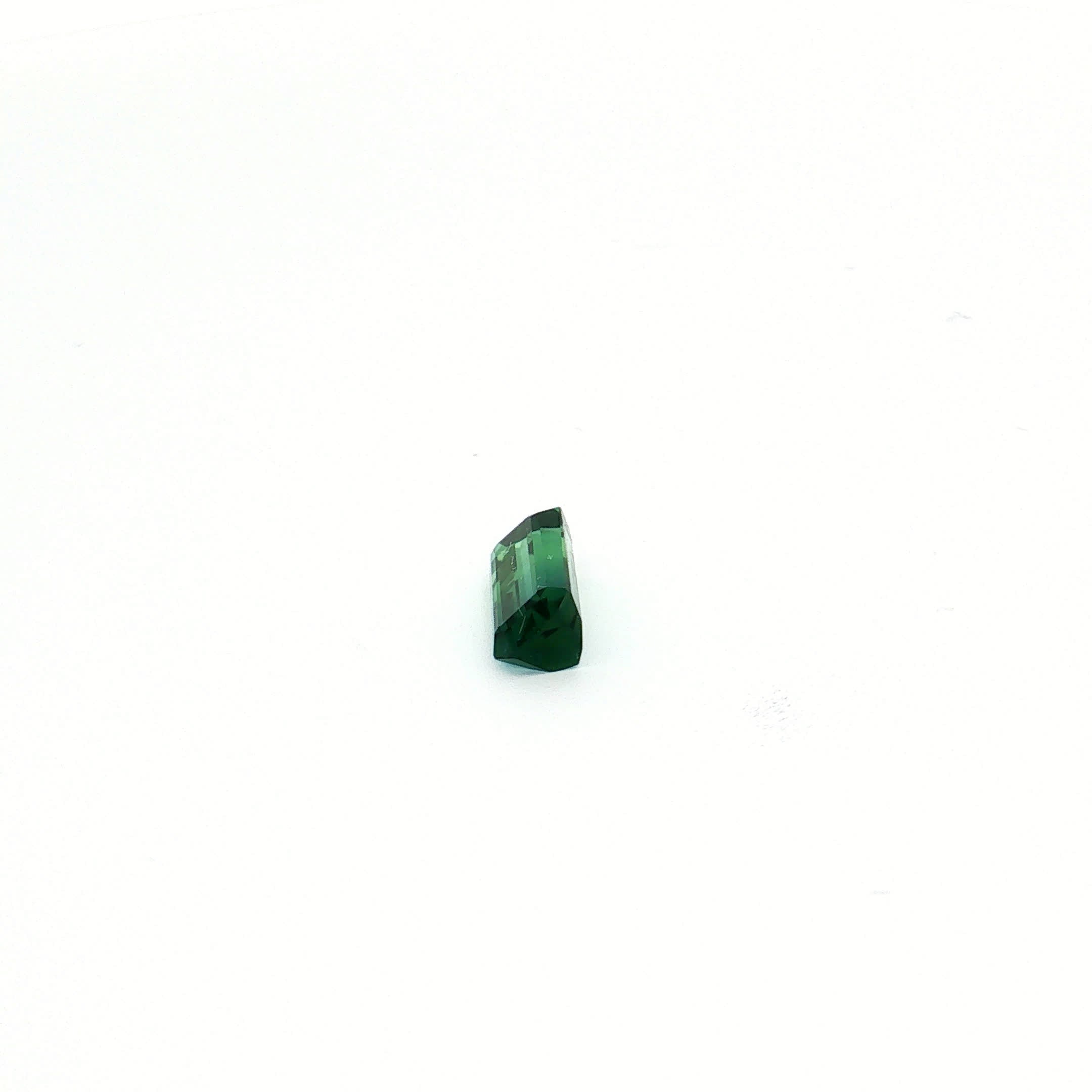 Bi-Colour Green Tourmaline