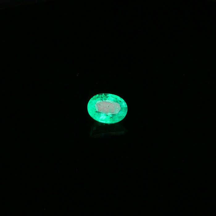 Brazilian Green Emerald · 2.72 ct