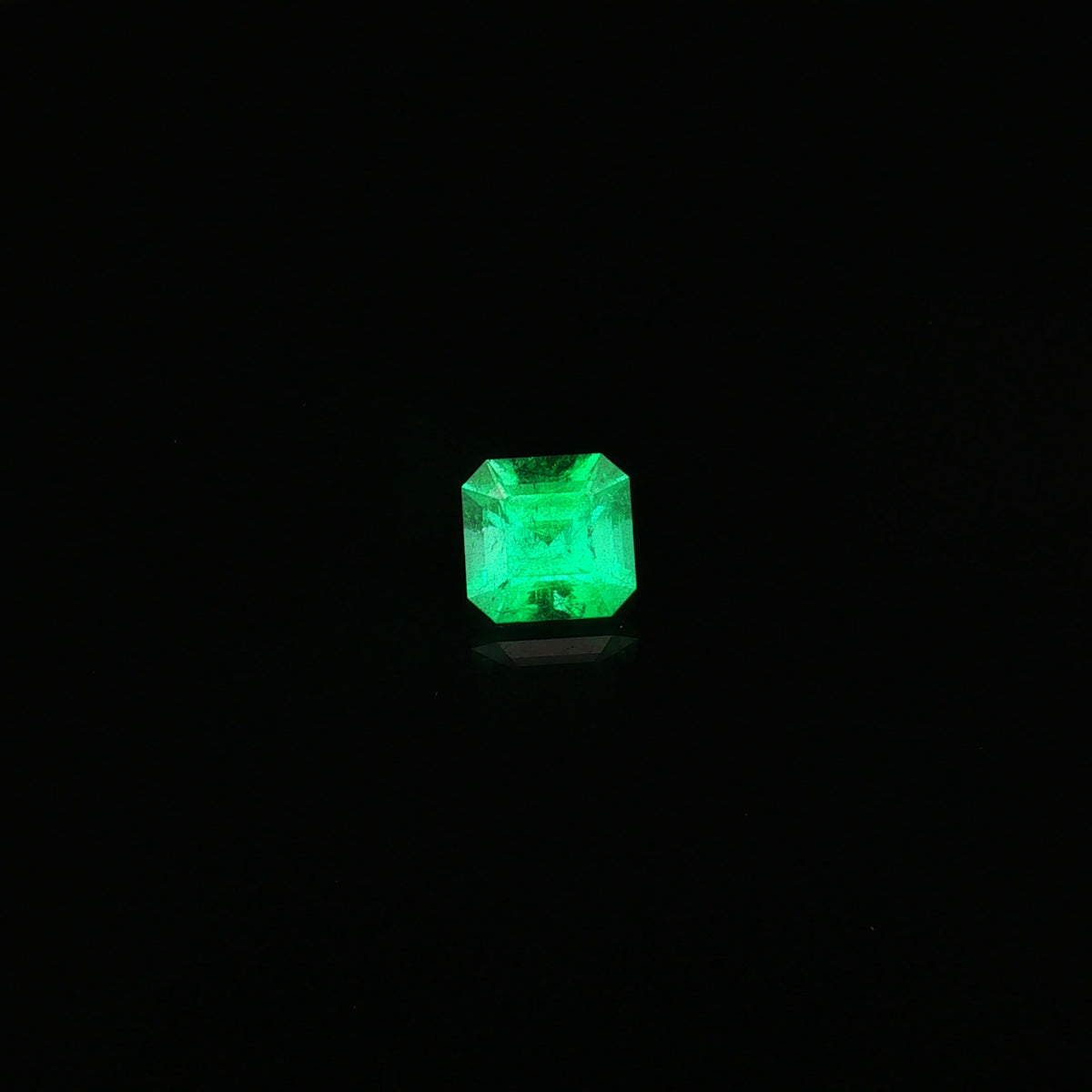 Muzo Vivid Green Emerald, 2.55 ct, Octagon · Step